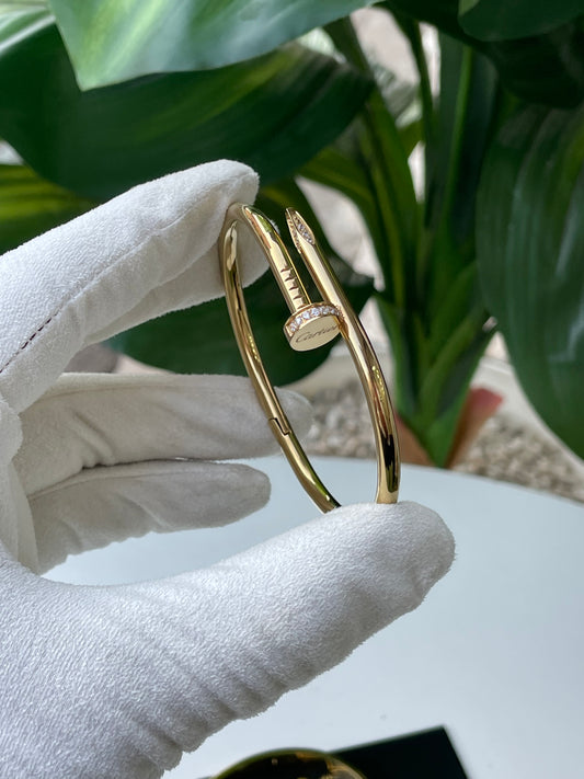 clou en acier inoxydable